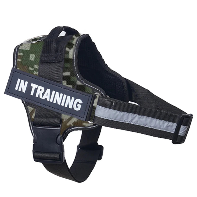 Sdca5c83cdaa64b4c99b080d5162a6671U